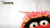 The Muppets Movie Poster