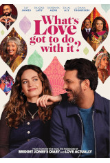 What's Love Got to Do with It? Movie Poster