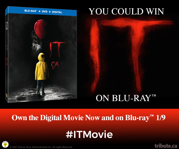 Image result for it blu ray