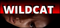 WILDCAT DVD Contest