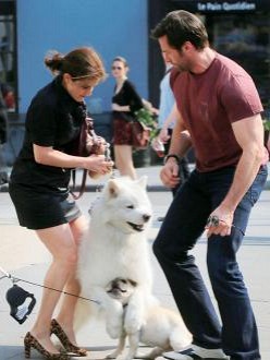 Hugh Jackman and his dog Dali in New York