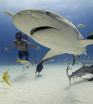 John ford discovery channel #10