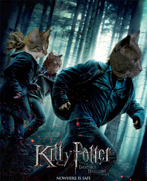 Cats take over top movie posters , Celebrity Gossip and