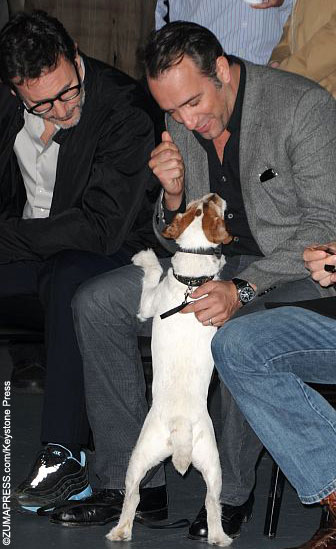 jean dujardin new movie jean dujardin and uggie 171 celebrity gossip and movie news jean dujardin new movie jean dujardin and uggie 171 celebrity gossip and movie news