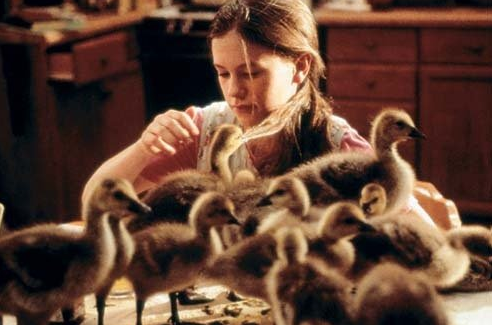 When her mother dies, Amy (Anna Paquin), 13, moves to Ontario to stay with her inventor father. She discovers abandoned goose eggs and tries to take care of them. When the gosling hatch, they imprint on Amy, believing she’s their mother. Now, the father and daughter must find a way to teach the geese how […]