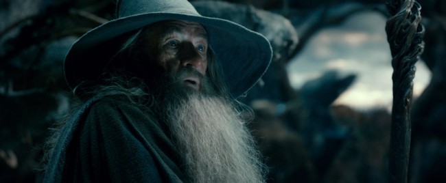 The wise wizard Gandalf (Sir Ian McKellen) joins Thorin and Company and aids them in their journey to Erebor. He will help guide them through the varied terrain of Middle-Earth, being mindful of the evils that lurk in the shadows.