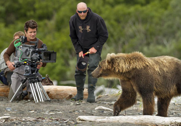 Filming Bears