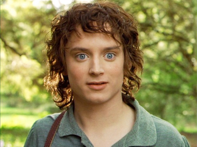 Elijah Wood has cemented his place in pop culture history with his portrayal as ring bearer Frodo Baggins. The doe-eyed and brave Hobbit traveled from the comforts of the Shire to the terrors of Mount Doom all in the name of saving Middle-earth from the tyranny of Sauron and the Ring.