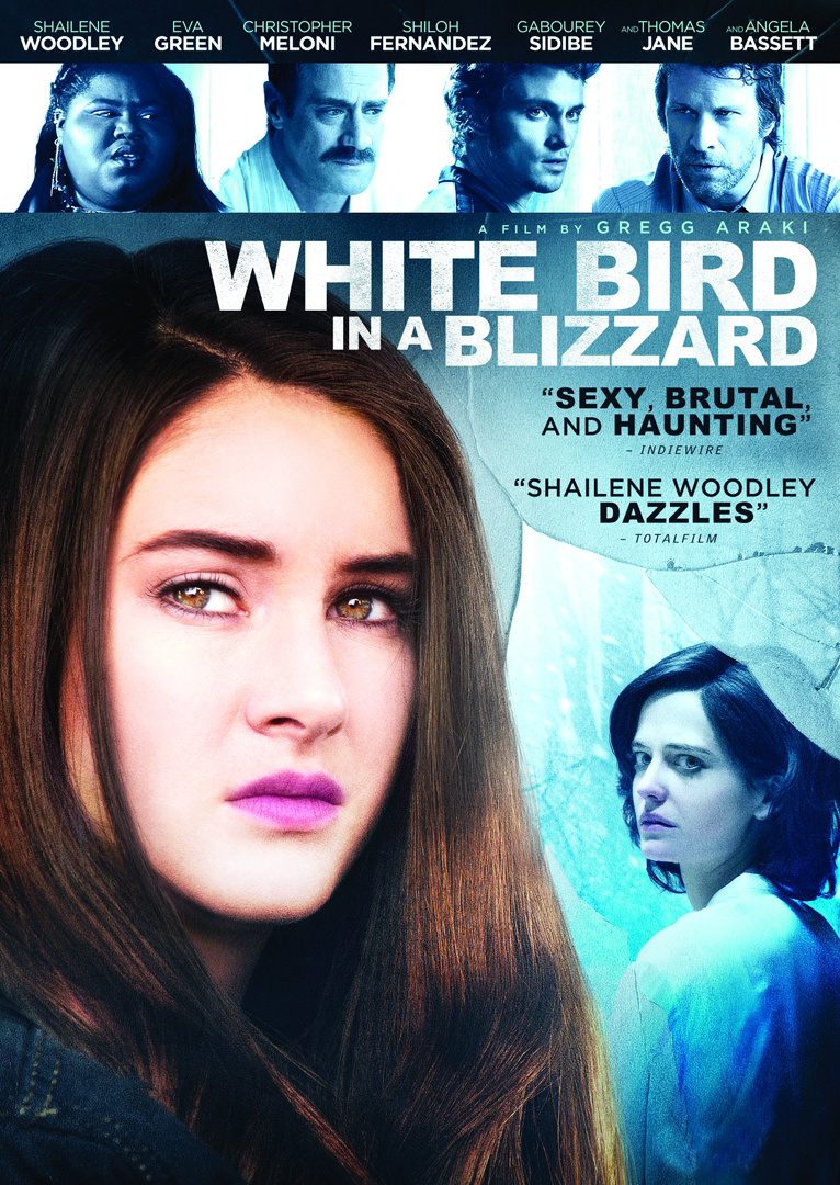 white_bird_in_a_blizzard