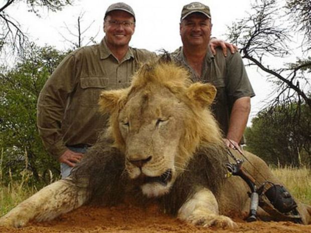 Walter James Palmer (left) poses with another dead lion in undated Facebook photo