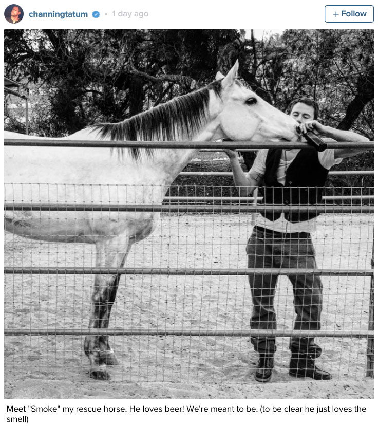 Channing Tatum and his new horse