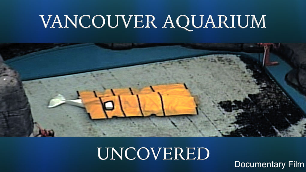 Vancouver-Aquarium-Uncovered