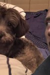 Dwayne Johnson donates $1500 to save namesake puppy