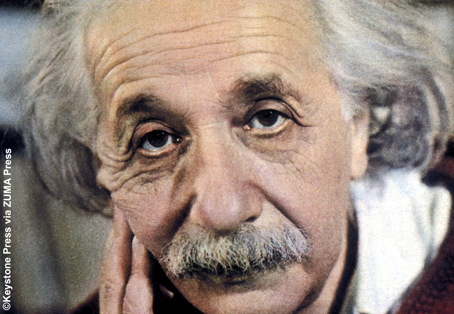 Albert Einstein Celebrity Gossip And Movie News