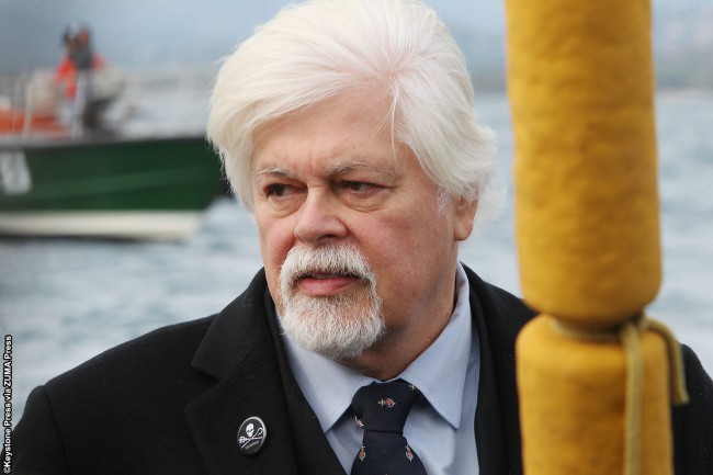 Named one of Time Magazine‘s environmental heroes of the 20th century in 2000, Paul Watson played a crucial role in the events that led to Sharkwater‘s completion. An original Greenpeace member and founder of Sea Shepherd Conservation Society, Paul fought alongside Rob against shark poachers in Guatemala. Their battle resulted in pirate boat rammings, gunboat […]