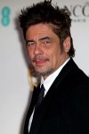 Benicio Del Toro says there's 'something twisted' about Amber Heard