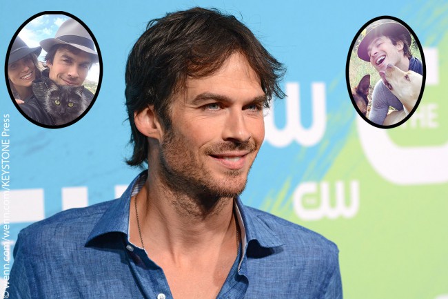 After finding her in traffic near the Vampire Diaries‘ stages, actor Ian Somerhalder sprung into action and rescued his pooch Nietzsche (who surprisingly was pregnant with eight puppies at the time). Proving that he’s in no way partial to dogs, Ian also adopted kitty Sohalia from Conyers, Georgia in October 2014. Ian announced Sohalia’s arrival […]
