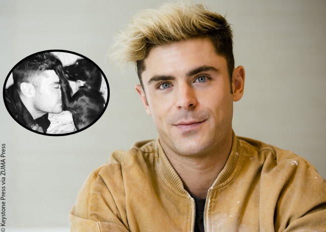 In November 2014, Dirty Grandpa actor Zac Efron took his relationship with Sami Miró to the next level when the pair adopted adorable Chappelle from a shelter. The then-couple was accompanied by their black pooch on a shopping trip to Tailwaggers in Los Angeles, where they bought a few new toys and supplies for Chappelle.