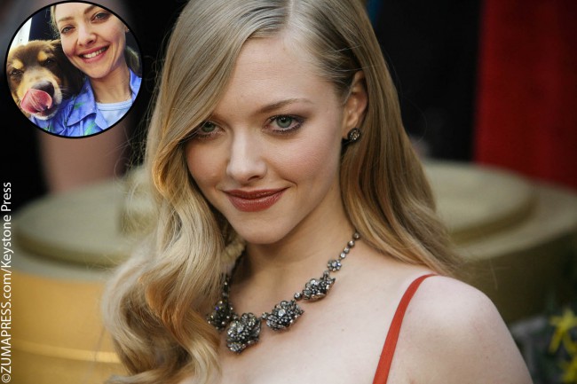Mamma Mia! actress Amanda Seyfried is more than proud to share her affection for her pooch with the world. Posting pictures regularly to Instagram, Amanda’s heart is taken by her Australian Shepherd Finn. Rescued from Best Friends Animal Society, Finn is often photographed in New York City with his mom and even has his own […]