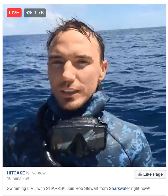 Rob Stewart Live Free Dive