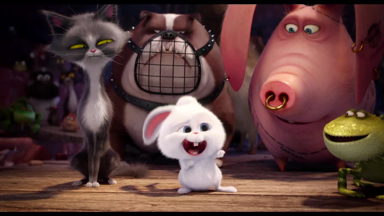 The Secret Life of Pets Blu-ray review