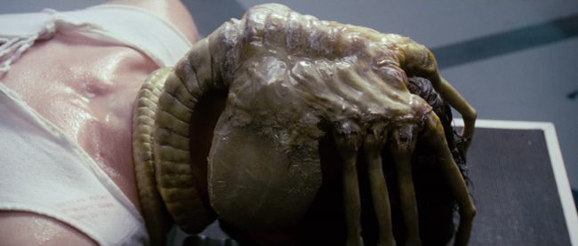 “In space no one can hear you scream.” Even the tagline to Ridley Scott’s Oscar-winning sci-fi film Alien is unsettling. The creature is best known as a facehugger, which is the name attributed to a Xenomorph in its second stage of the life cycle. With long, finger-like legs, a facehugger’s sole purpose is to latch […]