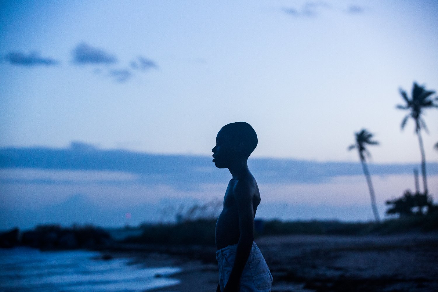 Moonlight: a necessary work of art