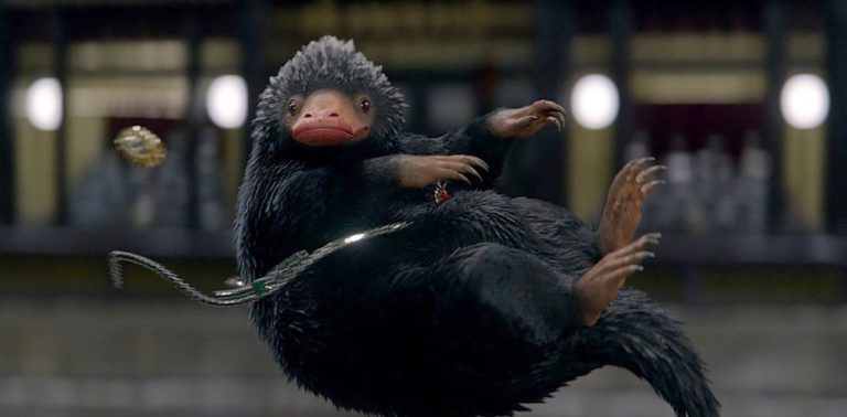 Niffler (Fantastic Beasts and Where to Find Them) « Celebrity Gossip