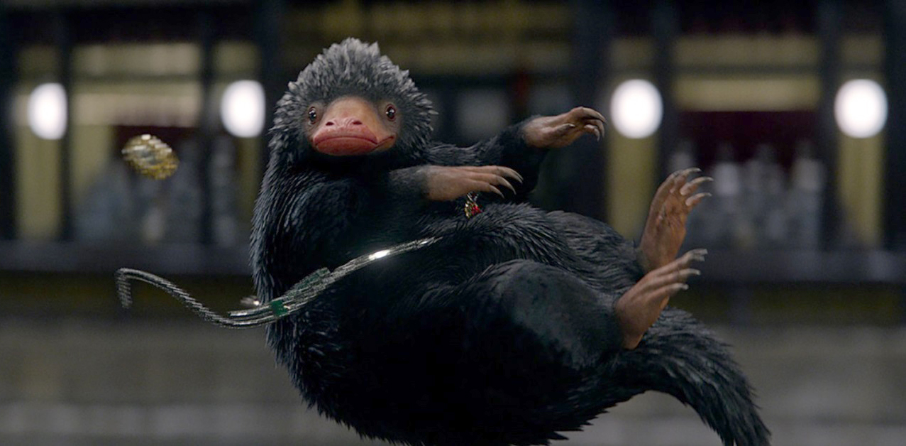 Niffler (Fantastic Beasts and Where to Find Them) « Celebrity Gossip