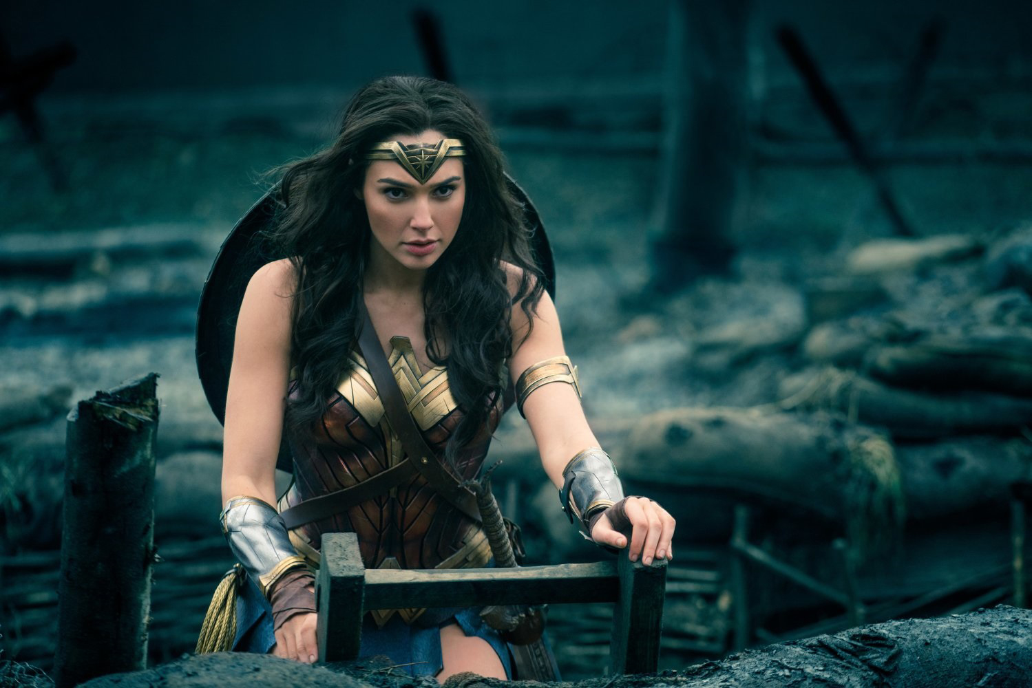 Diana Prince/Wonder Woman - Wonder Woman (2017 ...