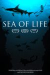 Sea of Life inspired by Rob Stewart's Revolution