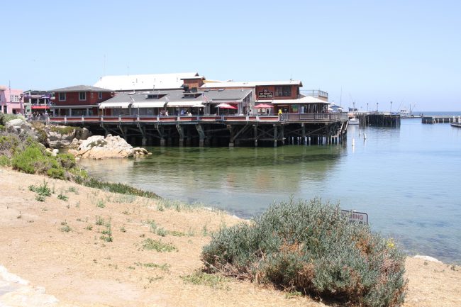 The wharf is a calm and quiet place – perfect for viewing marine animals. You can often spot sea lions and otters lying on the rocks.