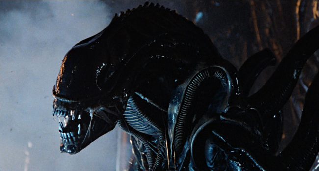 Alien 1979 Celebrity Gossip And Movie News