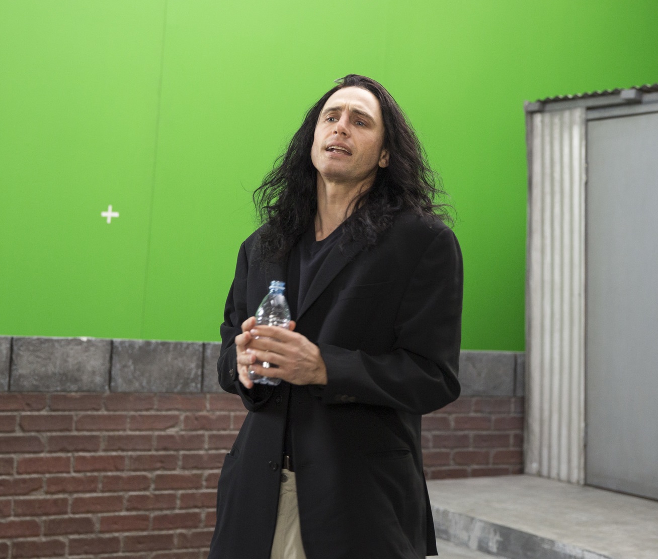  The Disaster Artist 