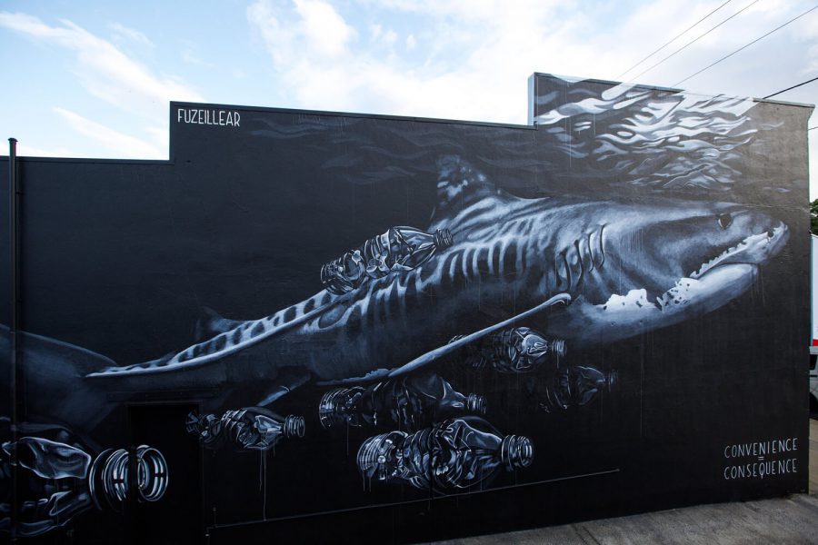 Rob Stewart Mural in Australia