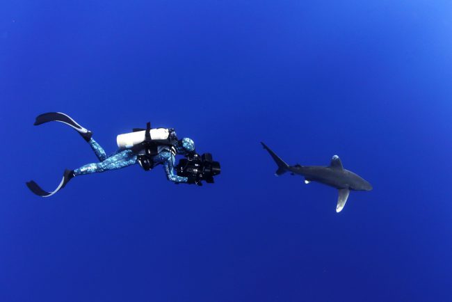 Sharkwater inspired worldwide bills to ban the importation or sales of fins. Hundreds of conservation groups, including United Conservationists, co-founded by Rob, were formed as people stood up to save sharks and ocean life. Today more than 90 countries have banned shark finning or the trade of shark products.