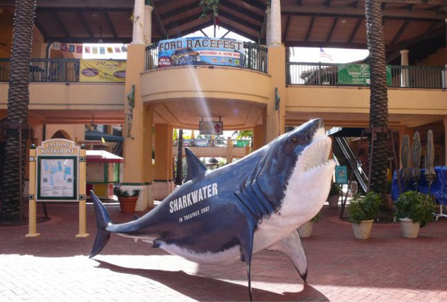 Milton the Shark has been onhand to help promote all of Rob’s movies: Sharkwater, Revolution and Sharkwater Extinction. Here he is in Ft. Lauderdale during promotion of Sharkwater. 