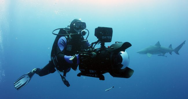 Rob decided to make a sequel to Sharkwater, titled Sharkwater Extinction. The movie is a thrilling, action-packed journey that follows Rob as he exposes the massive illegal shark fin industry and the political corruption behind it, a conspiracy that is leading to the extinction of sharks. 