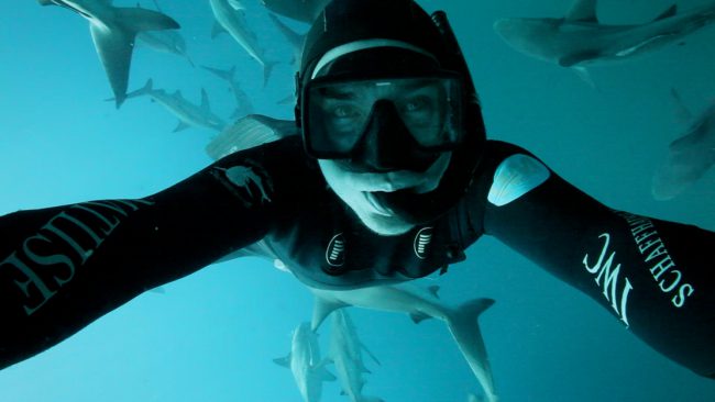 Sharkwater Extinction opened to rave reviews at the Toronto International Film Festival in September 2018, and across Canada on October 19, 2018. International releases will be announced soon. 