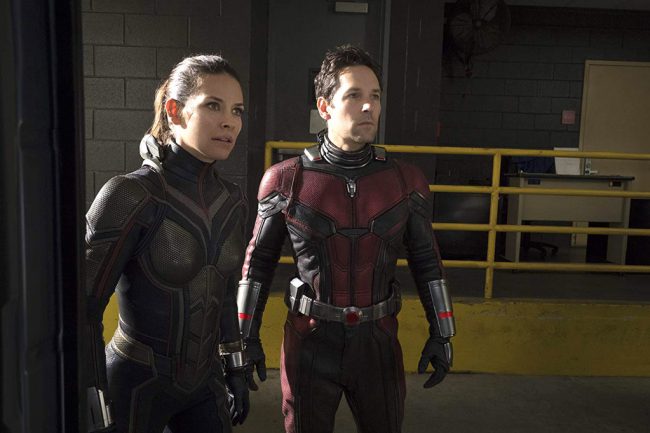 Ant-Man and The Wasp brought back the hilarious Paul Rudd as Scott Lang and turned Evangeline Lilly into The Wasp. Taking in a total of $216,648,740 at the North American box office, the film also earned  a SAG Award nomination for Outstanding Action Performance by a Stunt Ensemble. 