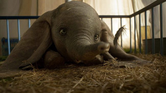 This live-action remake of the 1941 animated classic offers an adorable baby elephant, while being directed by Tim Burton. Expect darkness to be mixed in with the cuteness you see here. 