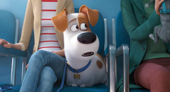 Who didn’t love all the animals we were introduced to in The Secret Life of Pets, even the evil bunny, Snowball? Although not much is known about the plot, we can bet that it’s going to be just as funny and cute as the first one. 