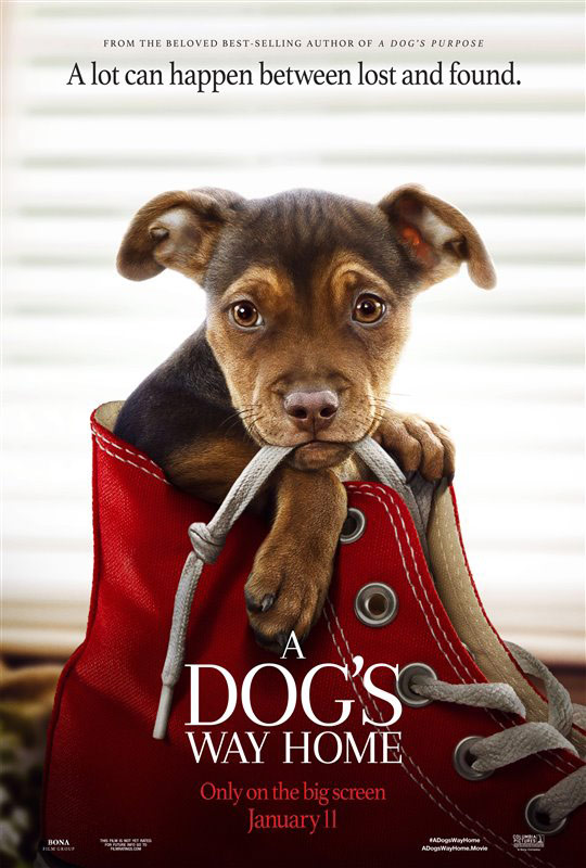 New movies in theaters A Dog’s Way Home and more « Celebrity Gossip