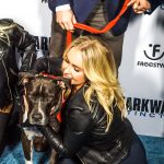 Hayden Panettiere and Rob Stewart's dog, Atlas