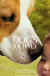 New movies in theaters -- A Dog's Journey and more