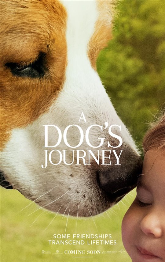 New movies in theaters — A Dog’s Journey and more « Celebrity Gossip