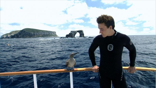 This multi award-winning 2006 film by Rob Stewart explores the importance of nature’s apex predators and the need to stop the practice of shark finning. Sharkwater opened people’s eyes to this issue and was the impetus for many countries worldwide to change their laws regarding the sale of shark fins. Rob dedicated his life to […]
