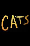 Inside the production Cats starring Taylor Swift plus new official trailer!