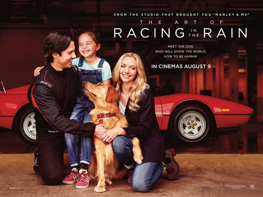 The Art Of Racing In The Rain Is Charming Movie Review Celebrity Gossip And Movie News