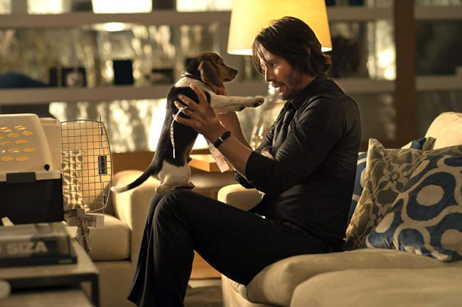 John Wick and John Wick 2, the first two films in the popular franchise about a hitman (Keanu Reeves) who comes out of retirement, are available starting Dec. 4.